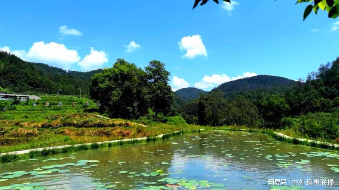 dy作品点赞自助平台大：自助点赞轻松提升作品人气热度