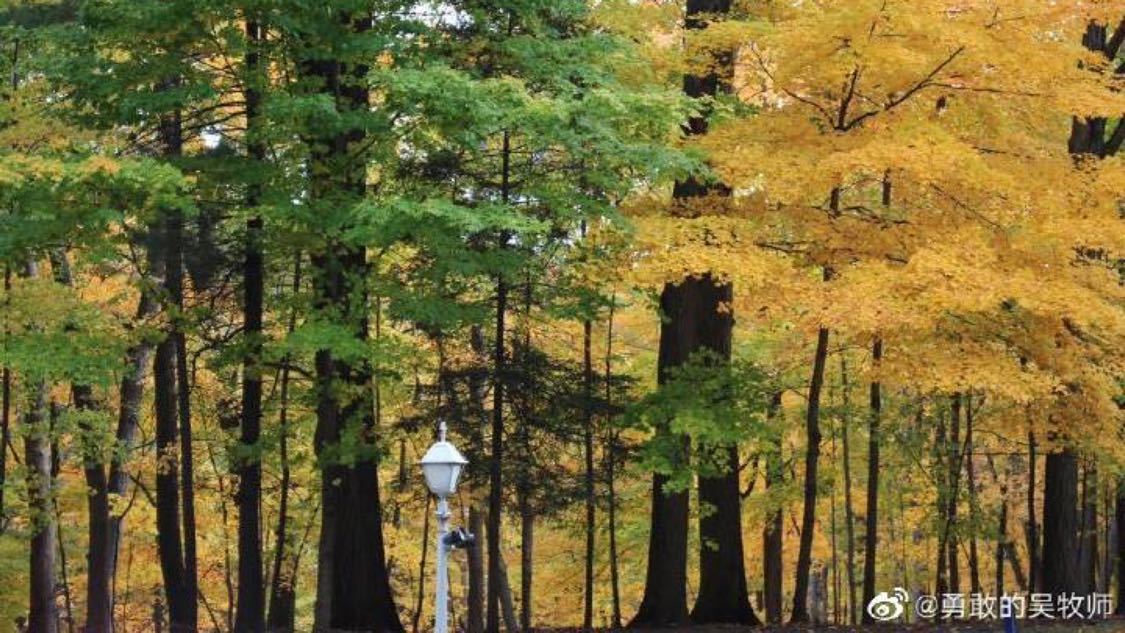 抖音涨赞点赞网站：自媒体运营秘籍提升内容传播效果_购买快手赞网站